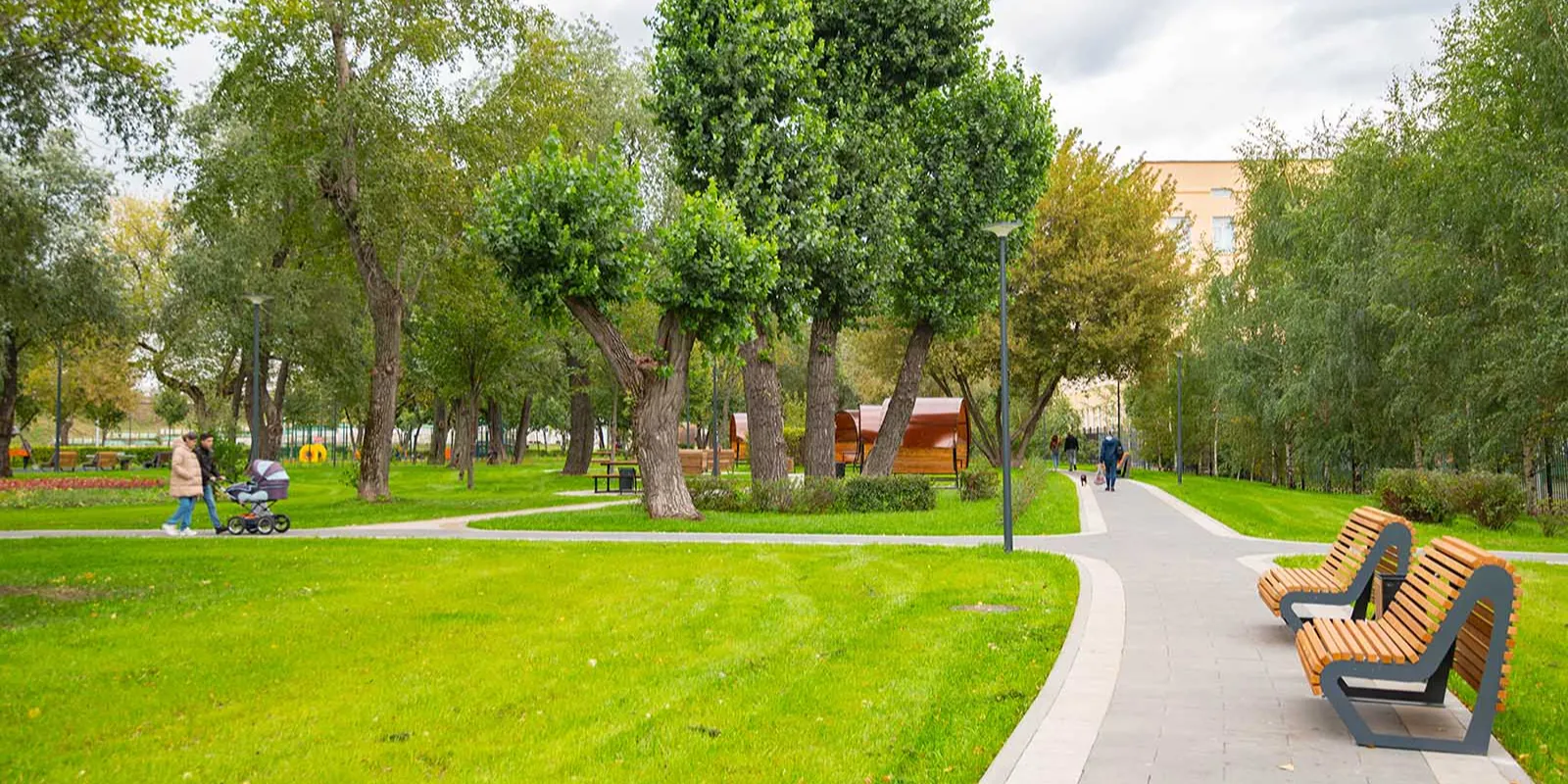 На участке МСД благоустроят 50 гектаров территории