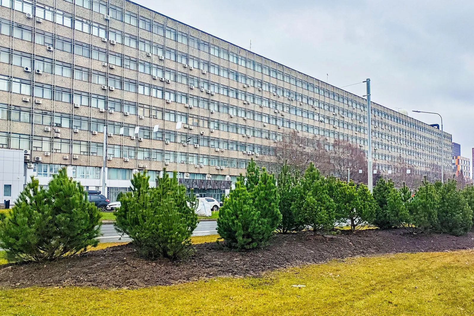 В Москве высадят 1,6 тысячи деревьев на Профсоюзной улице и проспекте 60-летия Октября