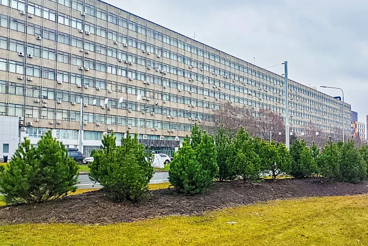 В Москве высадят 1,6 тысячи деревьев на Профсоюзной улице и проспекте 60-летия Октября