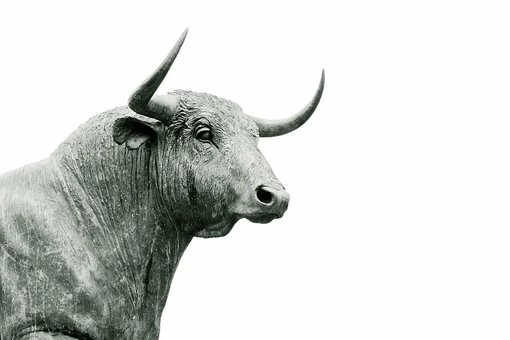 Что принесет больше прибыли – активные или пассивные стратегии  управления инвестиционным портфелем