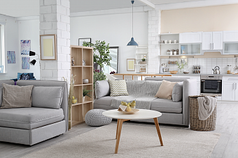 Аферы с жильем: как кейс Ларисы Долиной изменил рынок 